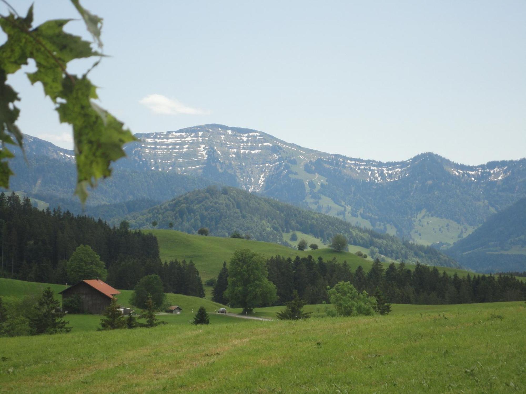Klatschmohn Daire Oberstaufen Dış mekan fotoğraf